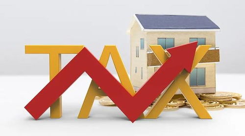 国家税务总局推出10项税收服务措施，助力长三角一体化高质量发展